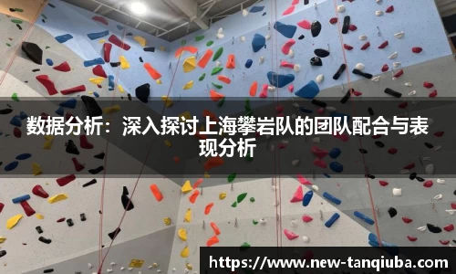 数据分析：深入探讨上海攀岩队的团队配合与表现分析